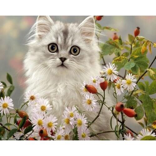 5D Diy Diamond Painting Cats Garden Pet DIY 3D Diamond Embroidery Pokemon White Cat Embroidery Ribbons Sets Sale Paintings