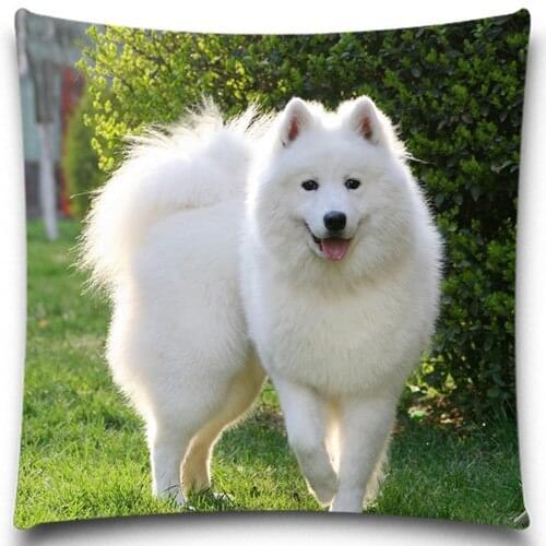A big white dog Cushion Cover Home Decorative Cotton Polyester Pillow Case Christmas Halloween Gift