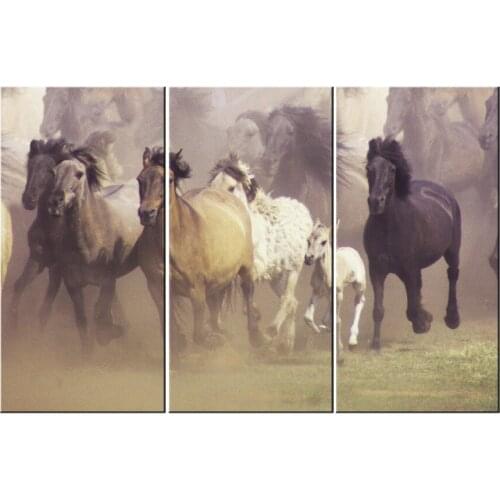 Canvas Wall Art Horse Running Cuadros Decoration Art painting Modular pictures on Canvas Wall Pictures for Living Room Decor