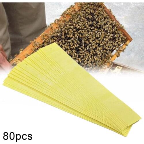 Professional Beekeeping Fluvalinate Bee Mite Varroa Killer Tool Beekeeping Pest Control Strip Supplies