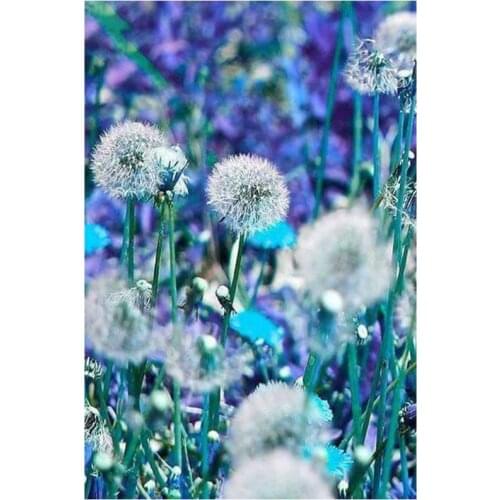 Full round diamond painting embroidery dandelion mosaic art diamond dotz rhinestone picture puzzle tapestry wall decor stickers