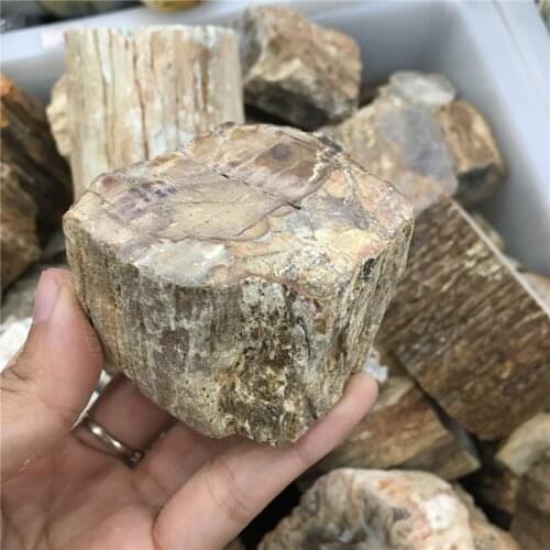 Pastoral style Home furnishing Natural wood fossil stone short-cut wood healing energy stone Purge negative energy