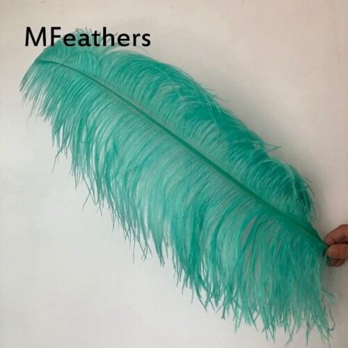 Big Pole Ostrich Feathers AAA Quality 55-60cm 22-24inch Long Natural Ostrich Plumes For Wedding Centerpieces Christmas Party Dec