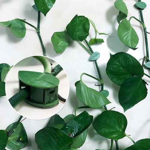 10Pcs Plant Green Fixation Plant Vine Green Dill Wall Climbing Artifact Leaf Shape Clip Self-Adhesive Household Wall Clips