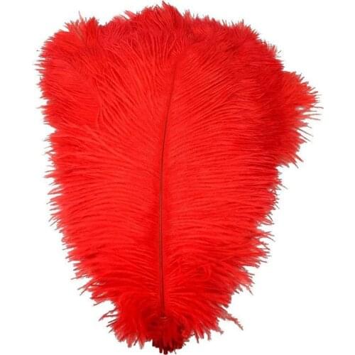 50Pcs/Lot Red Ostrich Feathers for Crafts Plume 15-70cm Feathers Ostrich Plumes Wedding Feathers for Clothes Plume Decoration