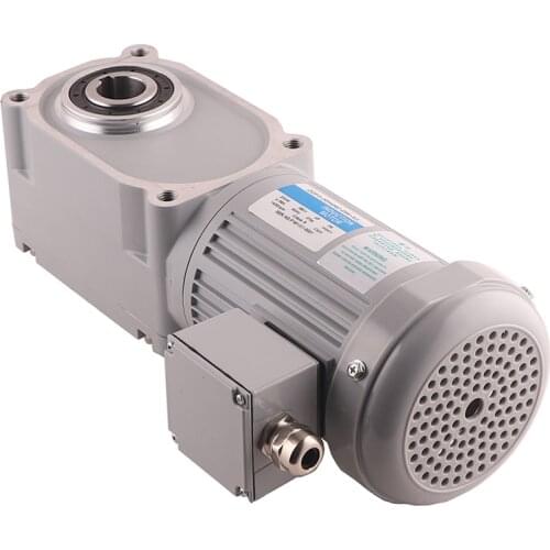 Lunyee 220V 50HZ Hypoid 400W AC motor with 15 ratio gearbox 33Nm 100rpm