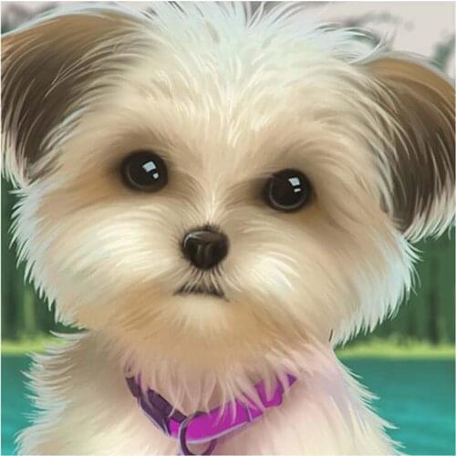 Dpsprue Full 5d Diy Diamond Painting Cross Stitch Dog White Diamond Embroidery Kit Mosaic Home Artworks Decor Gift DR10