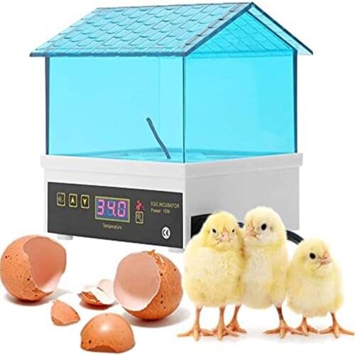 HHD Full Automatic Mini Egg Incubator Brooder Mini Incubator Machine Hatch For Chicken Duck Bird Child Digital Brooder Egg Feede