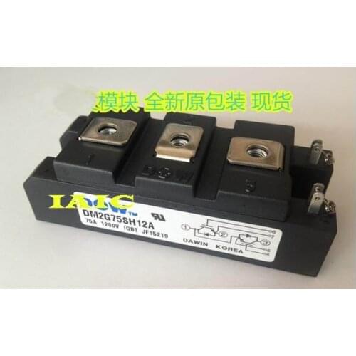 100%New and original, 90 days warranty DM2G75SH12A