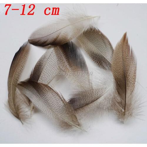 20/ 50 pcs 7-12cm Duck Pheasant chicken feathers for Crafts Clothing jewelry Headwear Christmas Holiday Decorations plumes