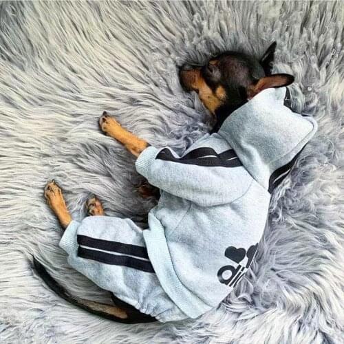 COOYOMOO Jackets For Dogs