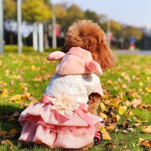 Luxury Dog Clothes Cat For Dog Dress Autumn Winter Pet Party Wedding Dress Travel Outing Girl York Mini Chihuahua Puppy Skirt