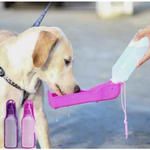 Pet Travel The suluguni 500 ml