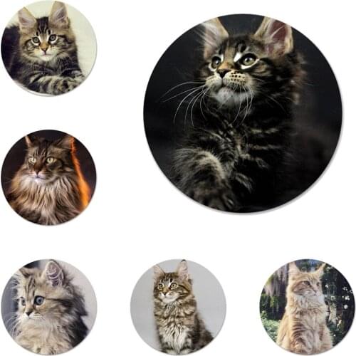 58mm pet maine coon cat Badge Brooch Pin Accessories For Clothes Backpack Decoration gift