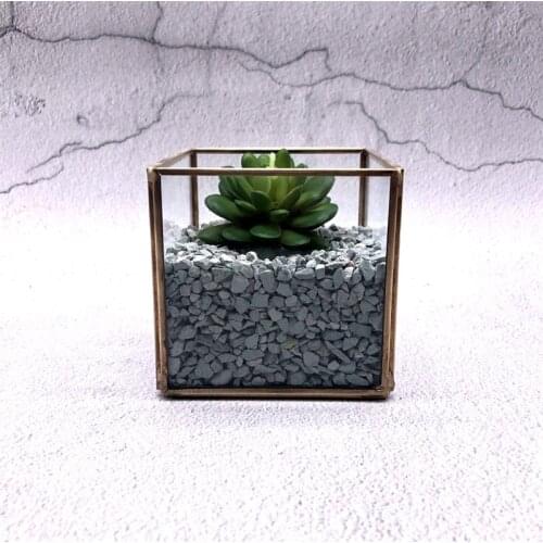 Nordic geometric transparent glass flower room eternal life Fleshy micro landscape green plant glass box home decoration