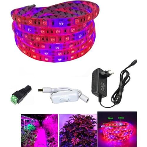 1m 2m 3m 4m 5m LED Grow Lights DC12V Growing LED Strip Plant Growth Light Set with Adapter and Switch