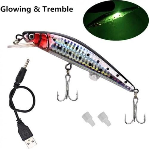 USB Rechargeable Minnow Fishing Lures 12cm 19g Electric Flashing LED Light Tremble Floating Bait Sea Fresh Water Fishing