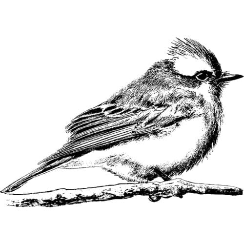 2021 New Retro Animal Bird Transparent Clear Stamps For DIY Craft Making Scrapbooking Greeting Card Album No Metal Cutting Dies