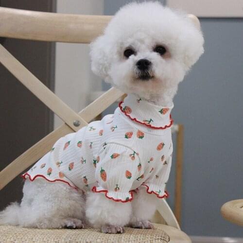 Cat Dog T-shirt Spring Summer Dog Clothes Shirt Apparel Yorkshire Pomeranian Poodle Bichon Schnauzer Pug French Bulldog Clothing