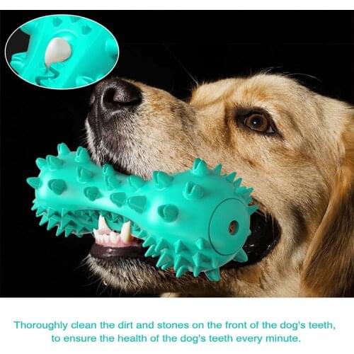 Vocal Toy Dog Teeth Grinder Bone Gnawing Dog Toothbrush Dogs Toothbrush Doggy Puppy Dental Care Dog Pet Puppies