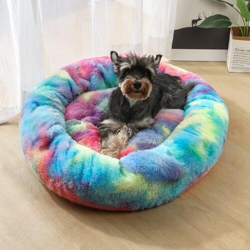 Tiger Dog Dog Beds