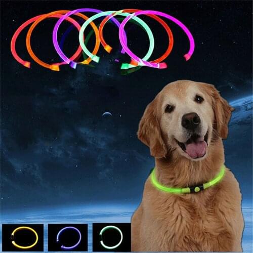 USB Charge Pet LED Dog Collar Night Glow Luminous Rechargeable Safety Puppy Cat Fluorescent Anti-Lost Avoid Car Accident Supply