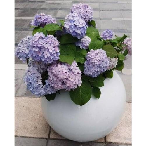 5D DIY Full Round/Square Diamond Painting Flowers Cross Stitch 3D Embroidery Rhinestone Mosaic Home Decor Gift Y1409