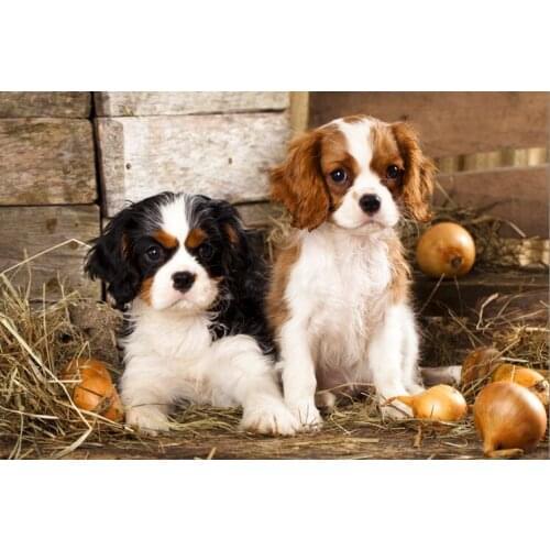 Two dogs The wooden puzzle 1000 pieces ersion jigsaw puzzle white card adult childrens educational toys