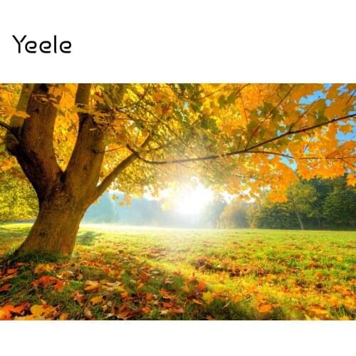 Yeele Autumn Sunshine Forest Backgrounds Maple Trees Yellow Leaves Grassland Photo Backdrops Photocall For Photo Studio