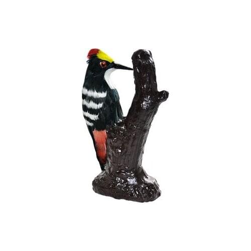Woodpecker simulation model biology teaching specimen animal ornaments