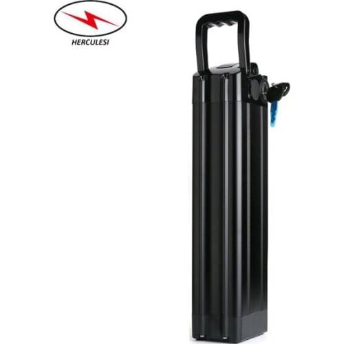 Excellent Performance Aluminum Electric Bike Battery Case 24V Lithium Battery Silver Fish Ebike 24V 12Ah Battery with USB Port