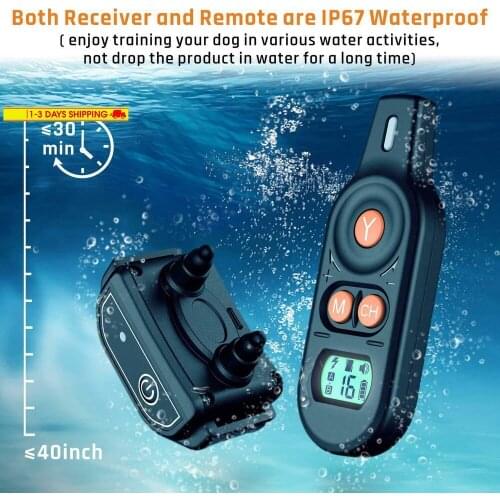 2019 New Version Waterproof Dual Channel Control Dog Training Collar with 2 collars 100g2280