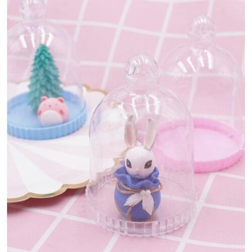 Display Covers Clay Tools Hand-made Acrylic Dust Immortal Flower Cover Box Ceramic Pottery Polymer Tool