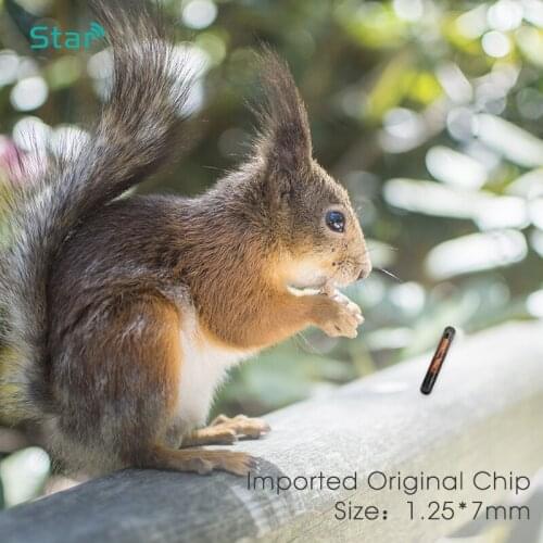 10pcs Small Size 1.25*7mm RFID Microchip Transponder Syringe Veterinary Animal Id Tag