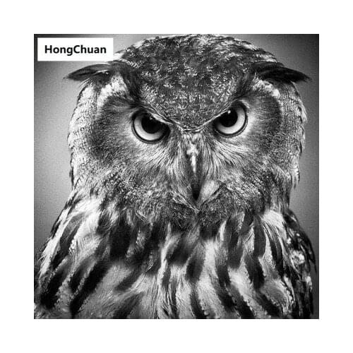 New Owl Diamond Painting DIY Diamond Inlaid Handmade 5D Diamond Embroidered Cross Stitch Kit Home Decoration Christmas