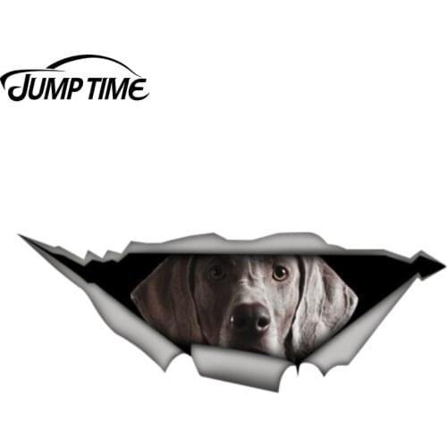 Jump Time 13cm x 4.8cm Weimaraner car decal 3D Pet Graphic Vinyl Decal Car Window Laptop Bumper Bird Car Stickers