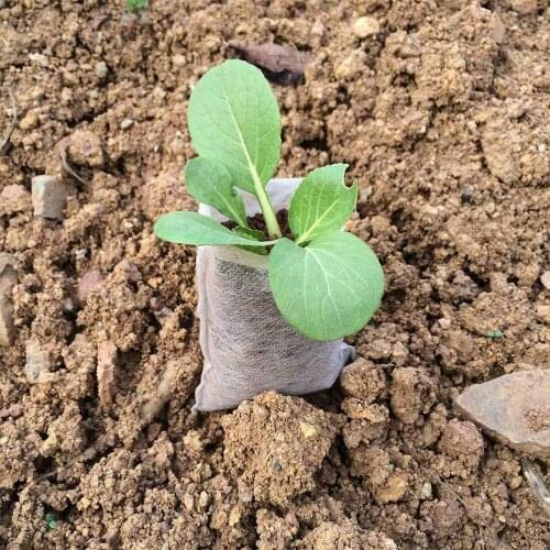 200 pieces of 8cm * 10cm biodegradable non-woven seedling bag white environmental protection flower planting bag seedling pot