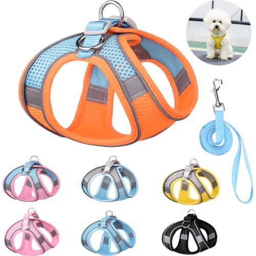 Gonius Pet Animal Decorations