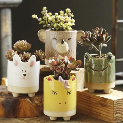 Cute Rabbit/Frog/Eagle Succulent Plant Container Resin Flower Pot Bonsai Ornament Lovely Flower Pot Resin Plant Pot