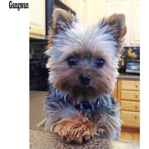 Needlework 5D DIY Diamond puppy Cross Stitch Painting kits Yorkshire Terrier Full Diamond Embroidery Dogs Diamond Mosaic Pattern