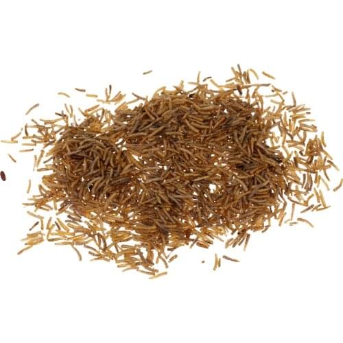 Carp Fishing Baits High Protein Nutritious Worms Lures Dry Maggots for Fish/Bird/Pets