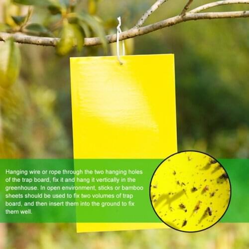 10/20/30pcs Strong Flies Traps Bugs Sticky Board Glue Sticker Catch Multiple Flying Insect Pests Killer Control Garden Supplies