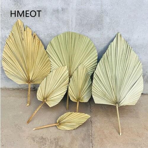 Dried Flower Palm Fan Leaf Plants Sunflower Leaves Home Decor Window Wedding Arch Decor Flower Arrangement Hanging Flower Wall