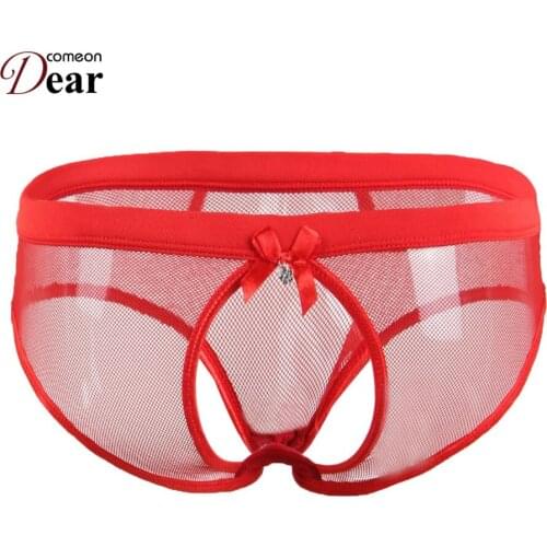 Comeondear Sexy Brief Hollow Out Underwear Women Plus Size Sexy Panties See Though Fishnet Women Underwear Panties PA5091