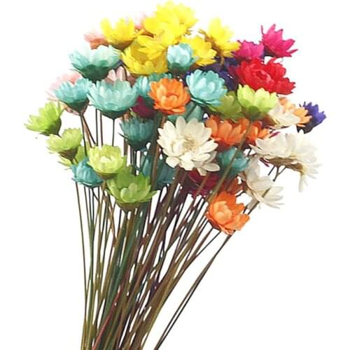 12Colors Crystal Epoxy Mould UV Glue Mini Daisy Dried Flower Bracelet Ring Filler Nail Art Manual DIY Making Mobile Shell Craft