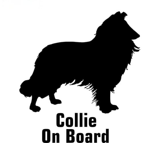 Creativity Car Styling Cute Border Collie on Board Car Sticker Funny Stickers Auto Decals