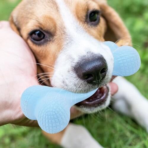 New TPR Material Creamy Fragrance Pet Dog Bone Toy Macaron Environmental Clean Teeth Outdoor Sports Training Ball