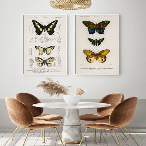 Vintage Butterfly Insect Education Wall Art Canvas Painting Nordic Posters and Prints Wall Pictures for Living Kids Home Decor