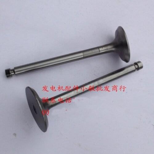 Valve diesel pump diesel generator 2kw Tiller Accessories 170F intake and exhaust valves