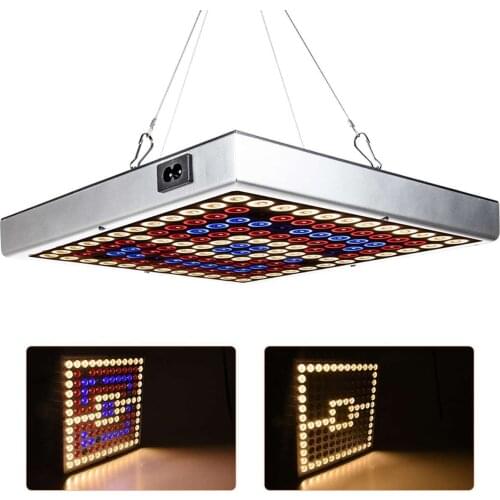 LOKTA LED Plant Lamps